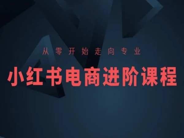 从零开始走向专业，小红书电商进阶课程-小哈资源