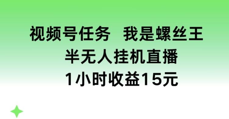 视频号任务，我是螺丝王， 半无人挂机1小时收益15元【揭秘】-小哈资源