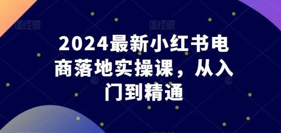 2024最新小红书电商落地实操课，从入门到精通-小哈资源