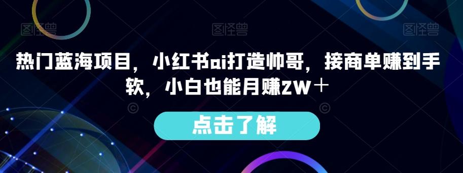 热门蓝海项目，小红书ai打造帅哥，接商单赚到手软，小白也能月赚2W＋-小哈资源