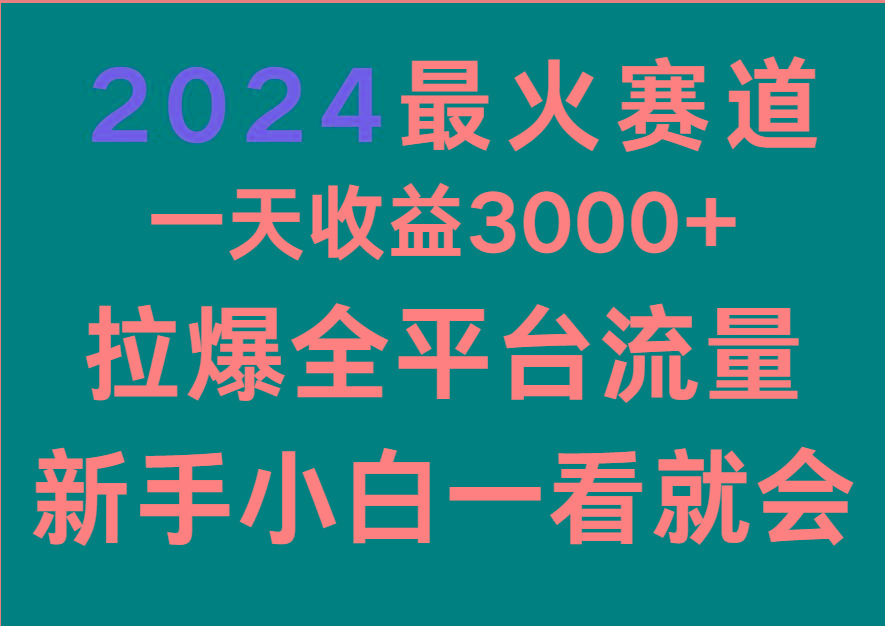 2024最火赛道，一天收一3000+.拉爆全平台流量，新手小白一看就会-小哈资源