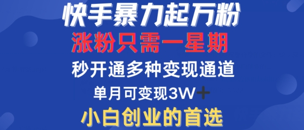 快手暴力起万粉，涨粉只需一星期，多种变现模式，直接秒开万合，单月变现过W【揭秘】-小哈资源