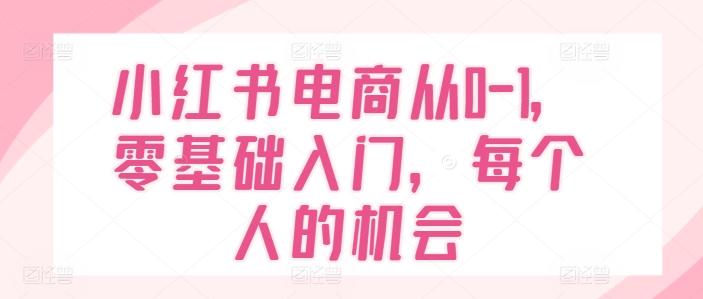 小红书电商从0-1，零基础入门，每个人的机会-小哈资源