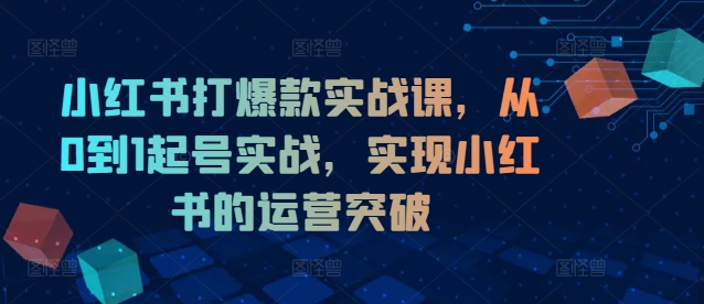 小红书打爆款实战课，从0到1起号实战，实现小红书的运营突破-小哈资源