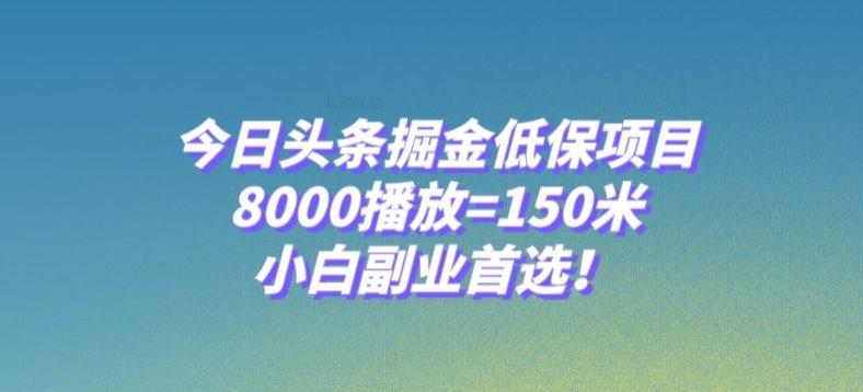 今日头条掘金低保项目，8000播放=150米，小白副业首选【揭秘】-小哈资源