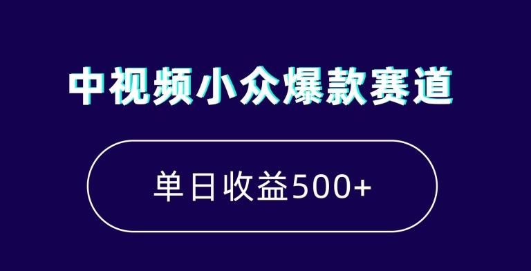 中视频小众爆款赛道，7天涨粉5万+，小白也能无脑操作，轻松月入上万【揭秘】-小哈资源