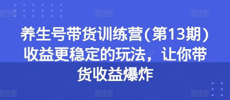 养生号带货训练营(第13期)收益更稳定的玩法，让你带货收益爆炸-小哈资源