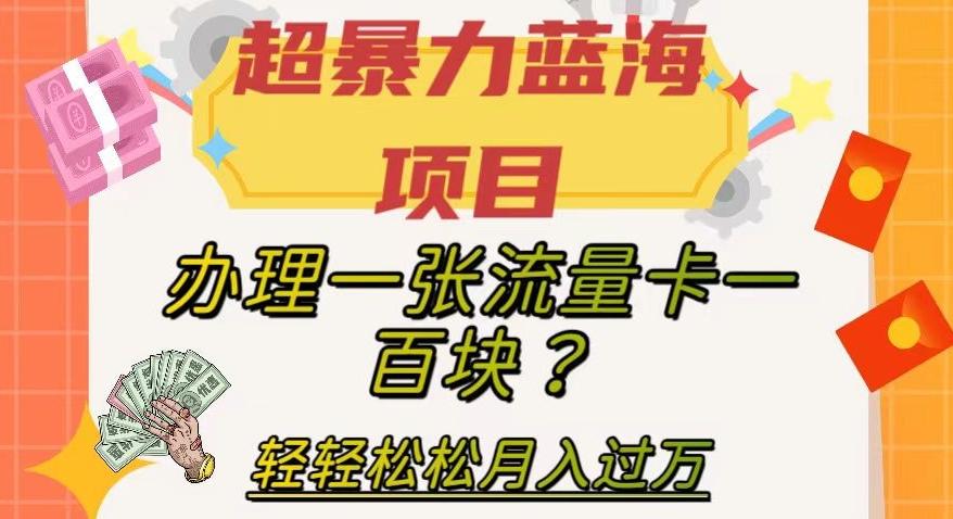 超暴力蓝海项目，办理一张流量卡一百块？轻轻松松月入过万，保姆级教程【揭秘】-小哈资源
