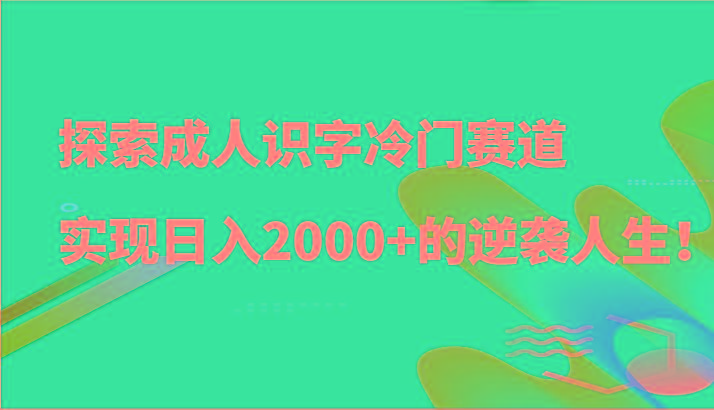 探索成人识字冷门赛道，实现日入2000+的逆袭人生！-小哈资源