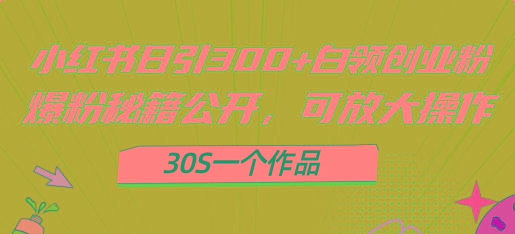 小红书日引300+高质白领创业粉，可放大操作，爆粉秘籍！30s一个作品-小哈资源