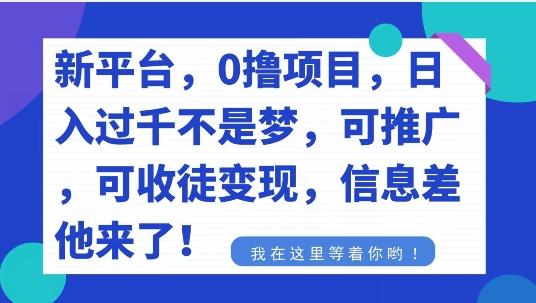 不要再花冤枉钱了，0撸项目，每天坚持，稳定1000+-小哈资源