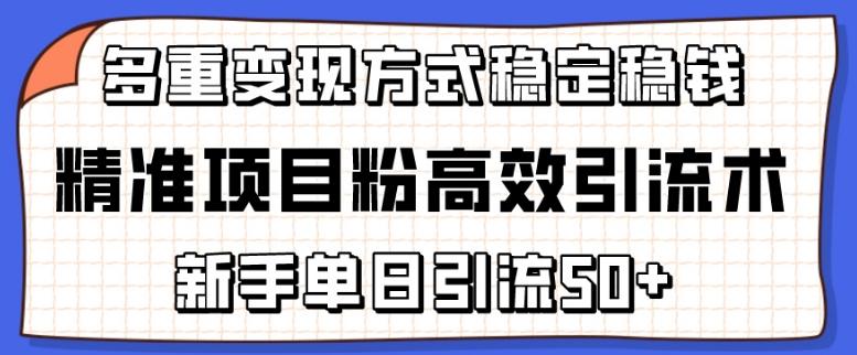 精准项目粉高效引流术，新手单日引流50+，多重变现方式稳定赚钱【揭秘】-小哈资源