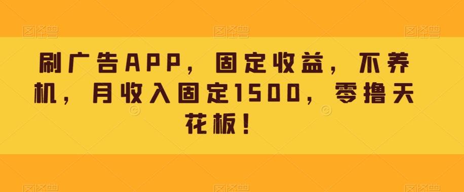 刷广告APP，固定收益，不养机，月收入固定1500，零撸天花板！-小哈资源