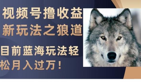 视频号撸收益新玩法之狼道，目前蓝海玩法，轻松月入过万【揭秘】-小哈资源