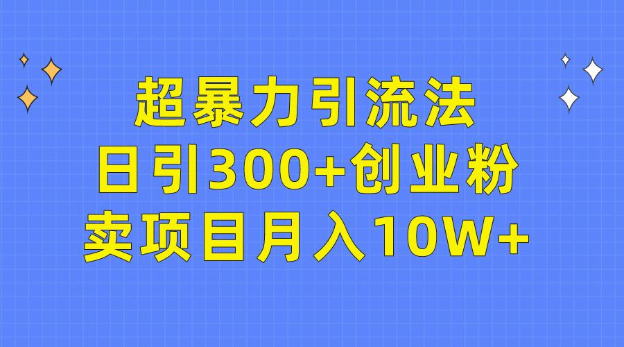 (9954期)超暴力引流法，日引300+创业粉，卖项目月入10W+-小哈资源