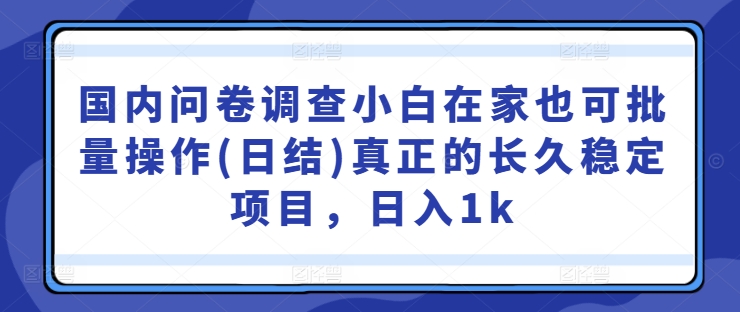 国内问卷调查小白在家也可批量操作(日结)真正的长久稳定项目，日入1k【揭秘】-小哈资源