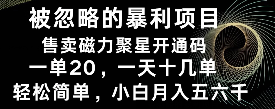 被忽略的暴利项目！售卖磁力聚星开通码，一单20，一天十几单，轻松月入五六千-小哈资源