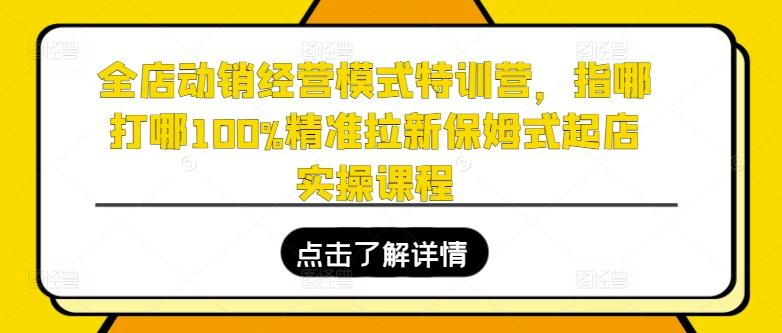 全店动销经营模式特训营，指哪打哪100%精准拉新保姆式起店实操课程-小哈资源