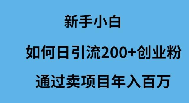 (9668期)新手小白如何日引流200+创业粉通过卖项目年入百万-小哈资源