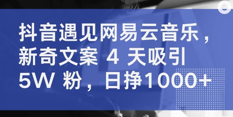 抖音遇见网易云音乐，新奇文案 4 天吸引 5W 粉，日挣1000+【揭秘】-小哈资源