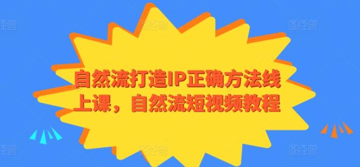 自然流打造IP正确方法线上课，自然流短视频教程-小哈资源
