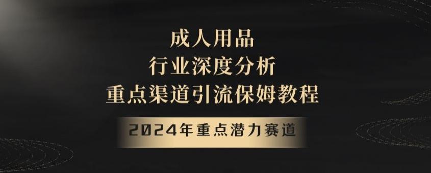 2024年重点潜力赛道，成人用品行业深度分析，重点渠道引流保姆教程【揭秘】-小哈资源