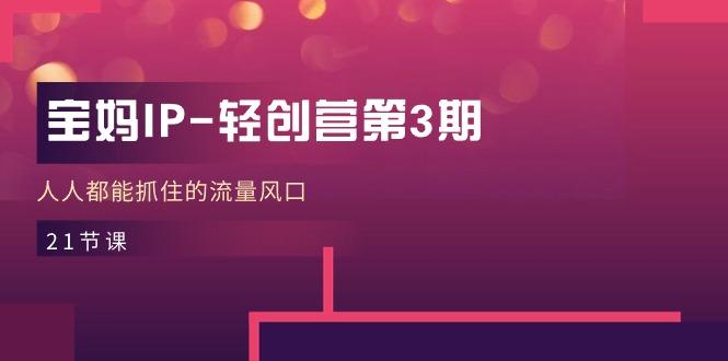 宝妈IP-轻创营第3期，人人都能抓住的流量风口(21节课-小哈资源