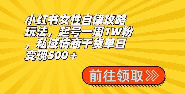 小红书女性自律攻略玩法，起号一周1W粉，私域情商干货单日变现500＋-小哈资源
