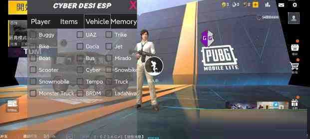 PUBG轻量老外裸奔绘制+自瞄 支持ROOT和框架 里面有全局离线-小哈资源