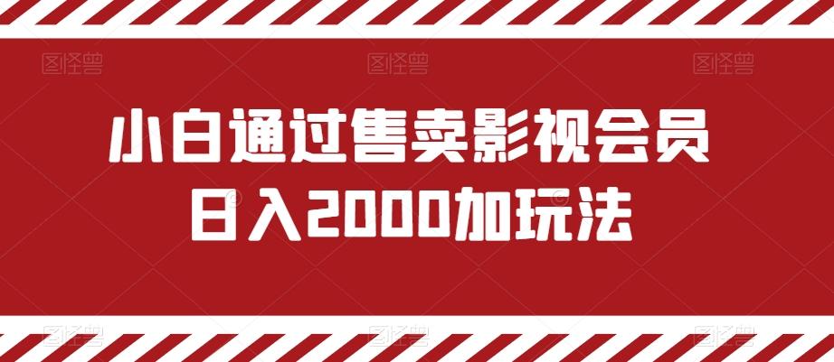 小白通过售卖影视会员日入2000加玩法-小哈资源