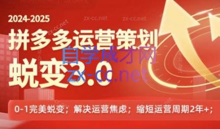 大力老师·2024拼多多运营策略蜕变3.0-小哈资源