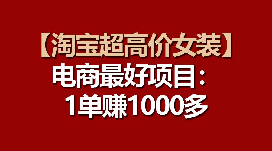 【淘宝超高价女装】电商最好项目：一单赚1000多-小哈资源