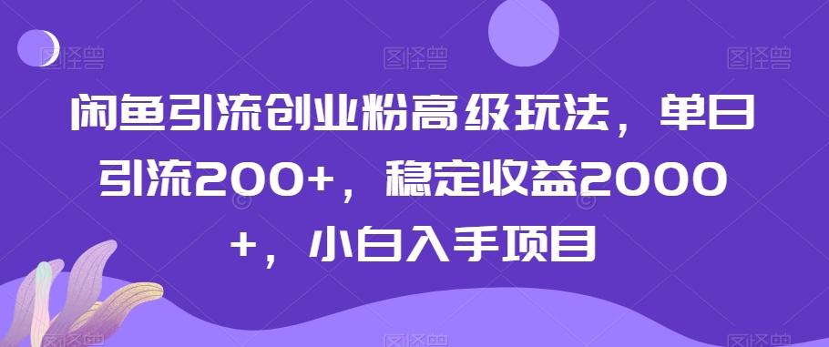 闲鱼引流创业粉高级玩法，单日引流200+，稳定收益2000+，小白入手项目-小哈资源