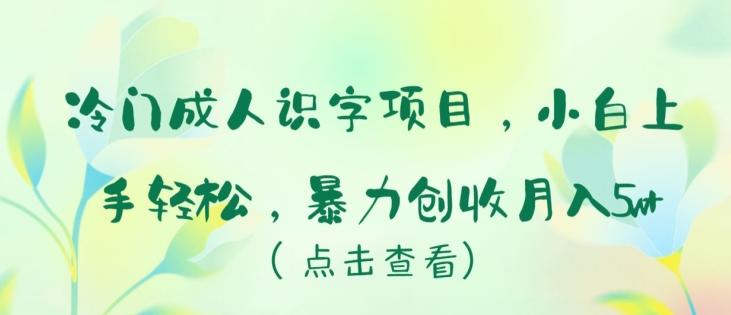冷门成人识字项目，小白上手轻松，暴力创收月入5w+【揭秘】-小哈资源