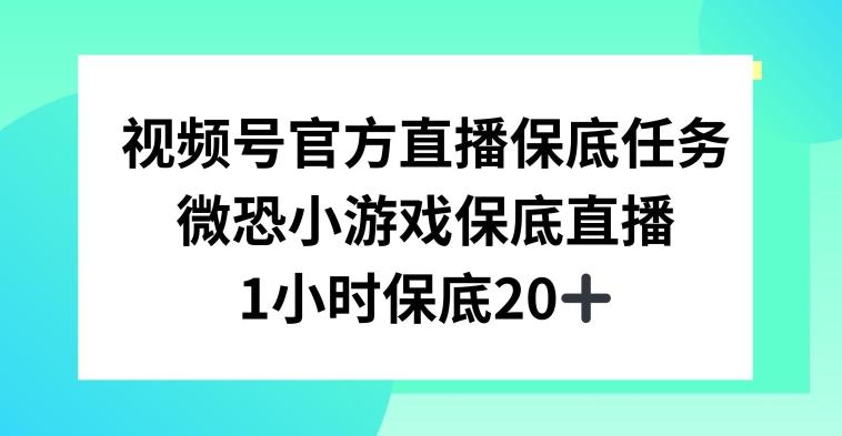 视频号直播任务，微恐小游戏，1小时20+【揭秘】-小哈资源
