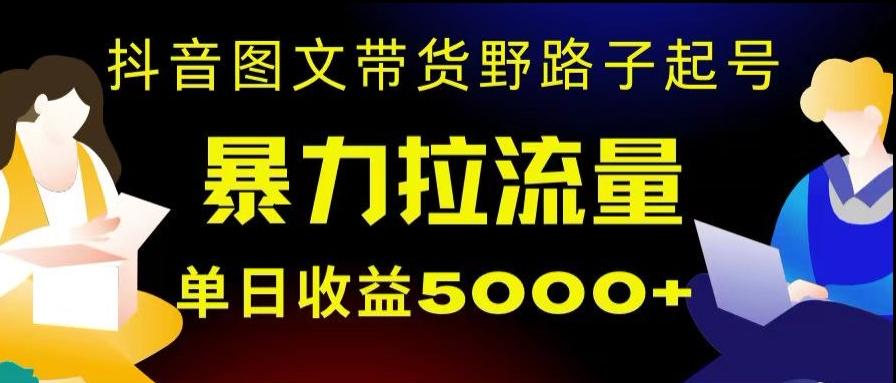 抖音图文带货暴力起号，单日收益5000+，野路子玩法，简单易上手，一部手机即可【揭秘】-小哈资源