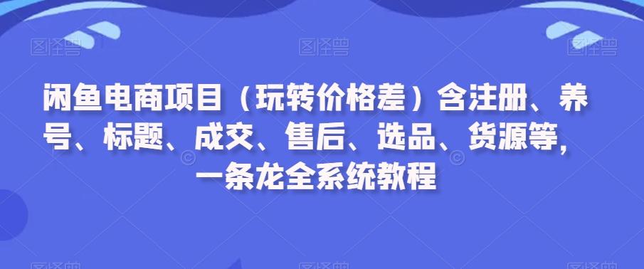 闲鱼电商项目(玩转价格差)含注册、养号、标题、成交、售后、选品、货源等，一条龙全系统教程-小哈资源