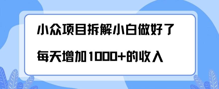 小众项目拆解，小白做好了每天可增加1000多的收入-小哈资源