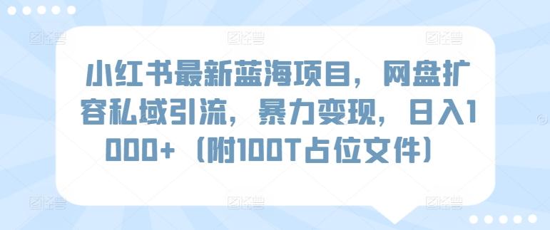 小红书最新蓝海项目，网盘扩容私域引流，暴力变现，日入1000+(附100T占位文件)【揭秘】-小哈资源