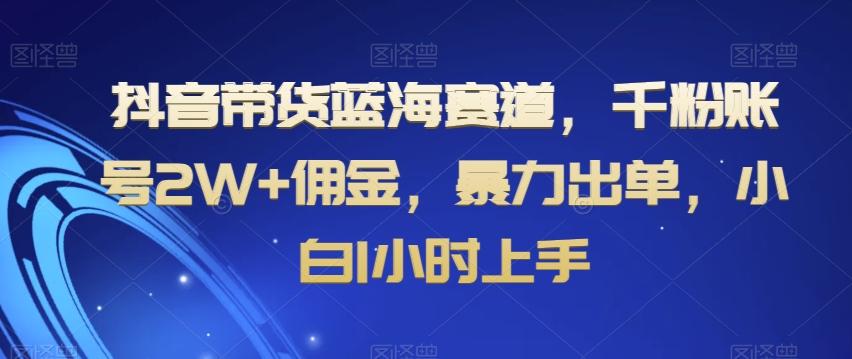 抖音带货蓝海赛道，千粉账号2W+佣金，暴力出单，小白1小时上手【揭秘】-小哈资源