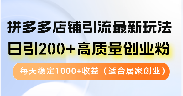 拼多多店铺引流最新玩法，日引200+高质量创业粉，每天稳定1000+收益(...-小哈资源