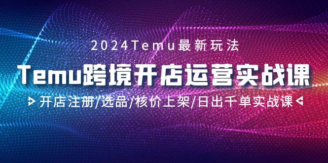 2024Temu跨境开店运营实战课，开店注册/选品/核价上架/日出千单实战课-小哈资源