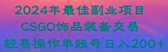 2024年最佳副业项目 CSGO饰品装备交易 轻易操作单账号日入200+-小哈资源