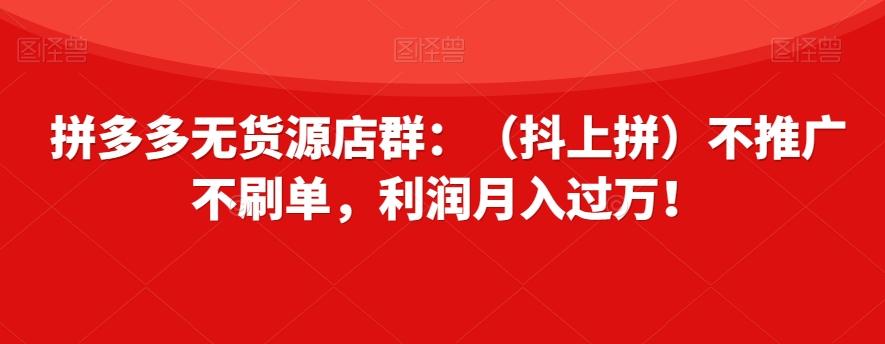 拼多多无货源店群：（抖上拼）不推广不刷单，利润月入过万！【揭秘】-小哈资源