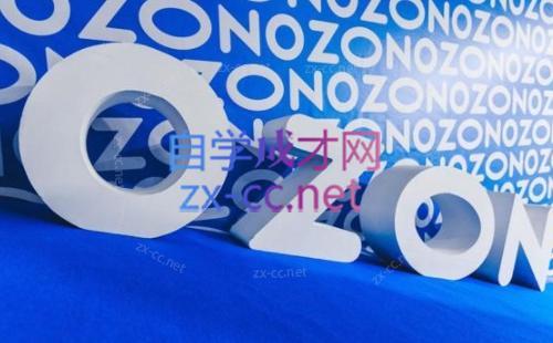 森哥·出海俄罗斯电商实操(2024)-小哈资源