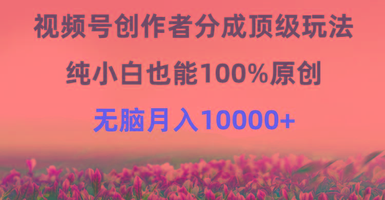 (9608期)视频号创作者分成顶级玩法，纯小白也能100%原创，无脑月入10000+-小哈资源