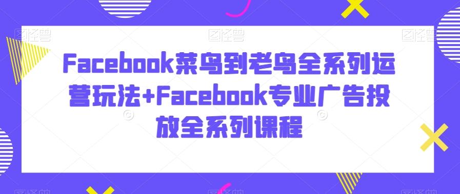 Facebook菜鸟到老鸟全系列运营玩法+Facebook专业广告投放全系列课程-小哈资源