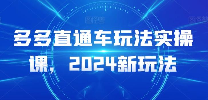多多直通车玩法实操课，2024新玩法-小哈资源