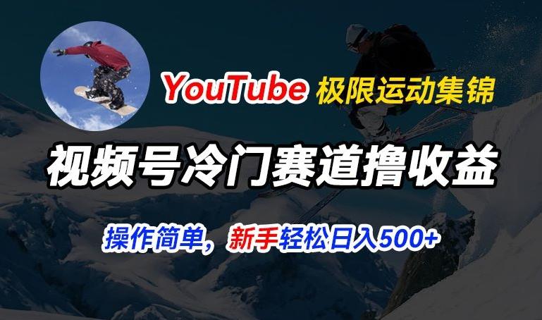 视频号冷门赛道撸收益，YouTube搬运极限运动集锦，暴力起号，操作简单流量高，轻松日入5张【揭秘】-小哈资源