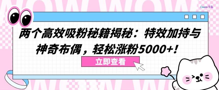 两个高效吸粉秘籍揭秘：特效加持与神奇布偶，轻松涨粉5000+【揭秘】-小哈资源